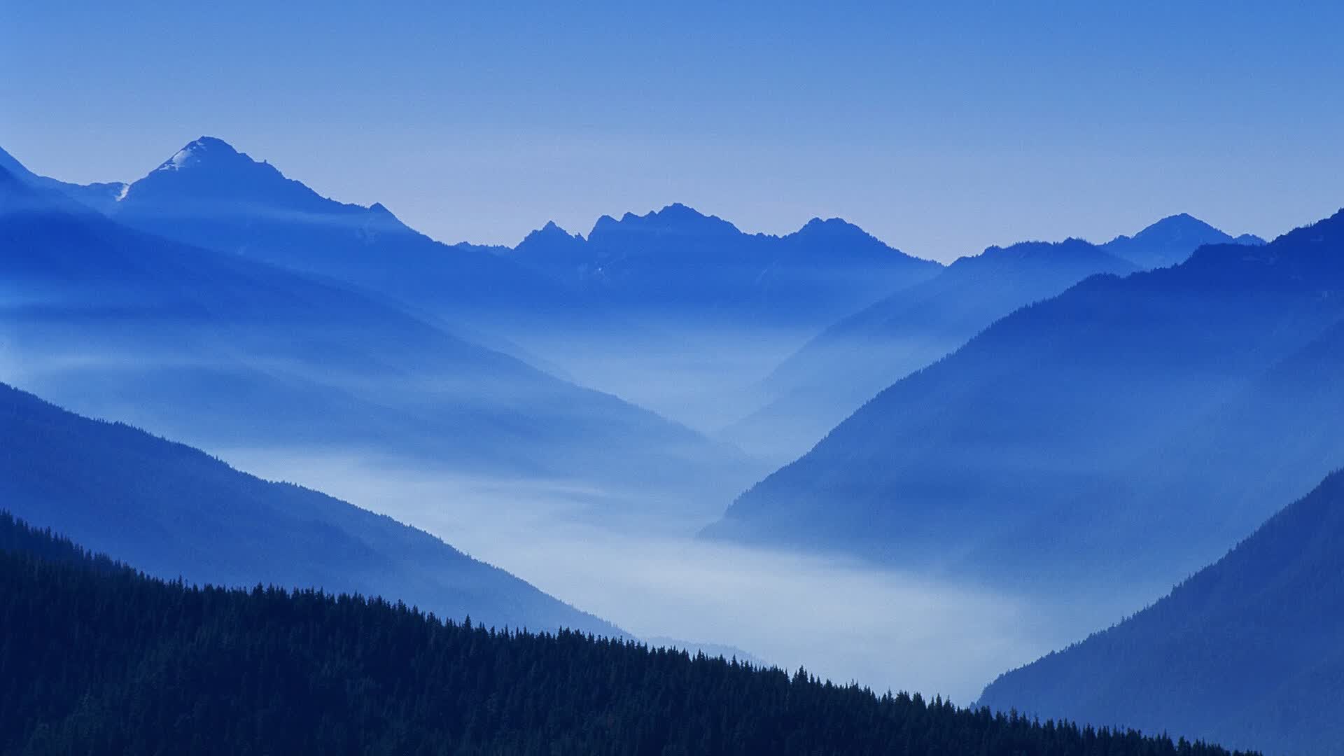 世界举重反兴奋剂新检测项目启用,国家举重队兴奋剂